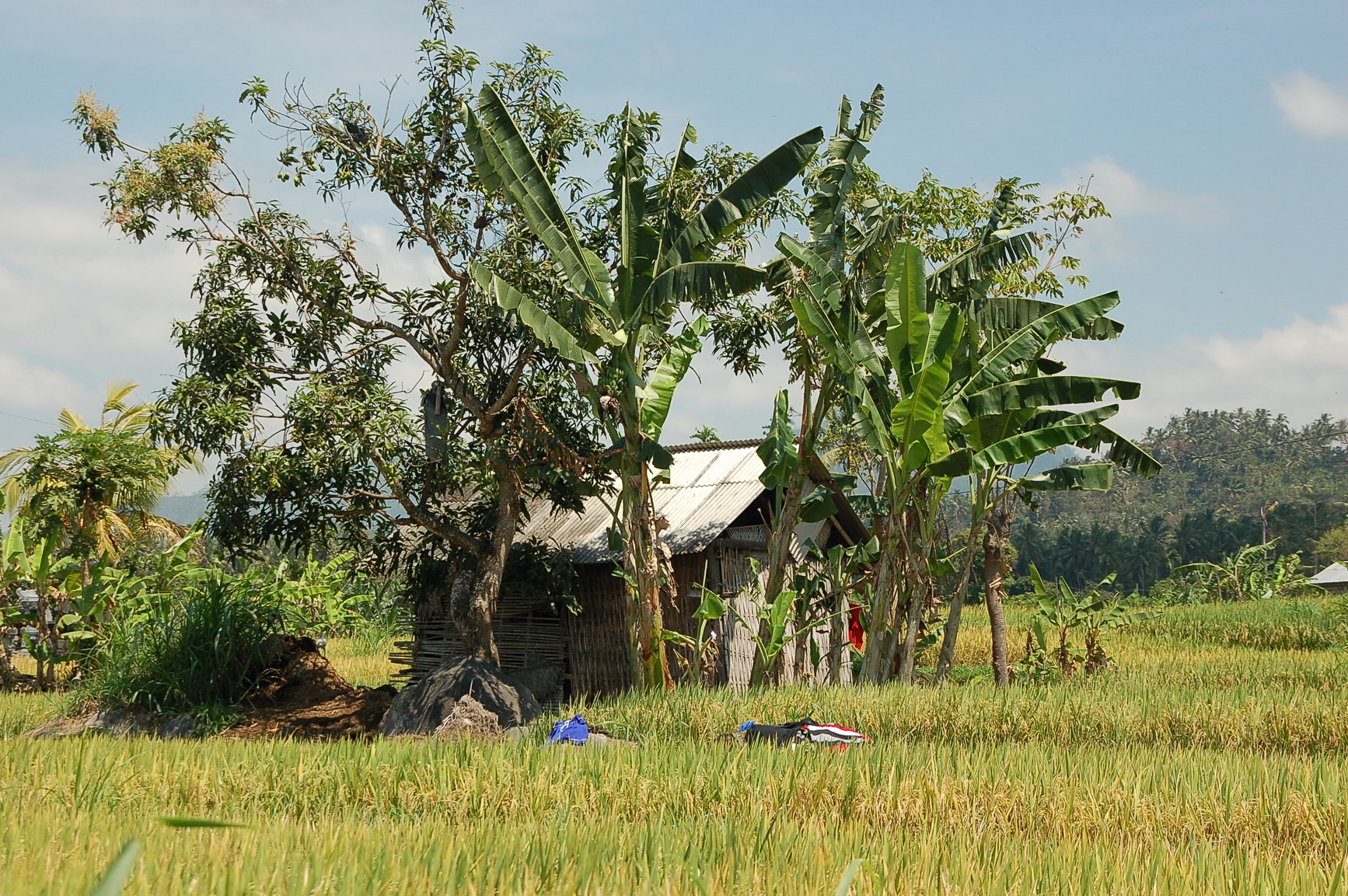 Bali Singapur 2012 0031