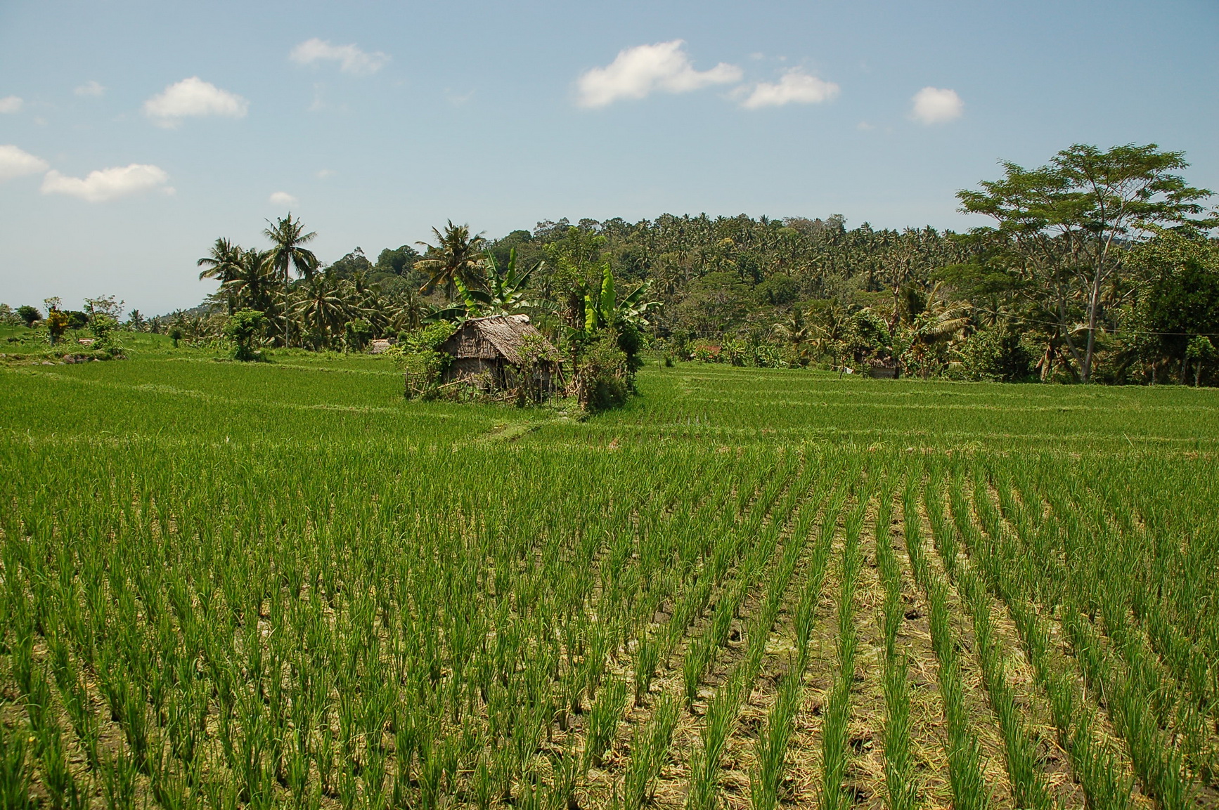 Bali Singapur 2012 0032