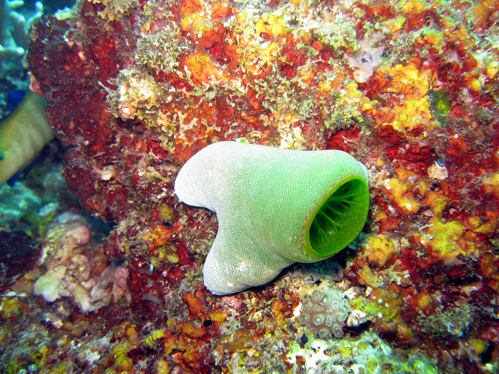 Bali Singapur 2012 0077