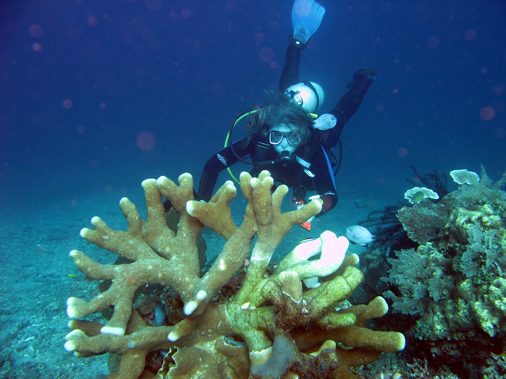 Bali Singapur 2012 0078