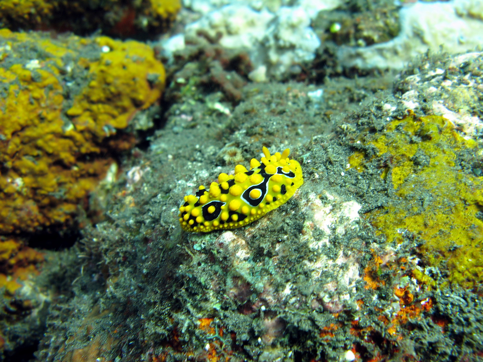 Bali Singapur 2012 0079