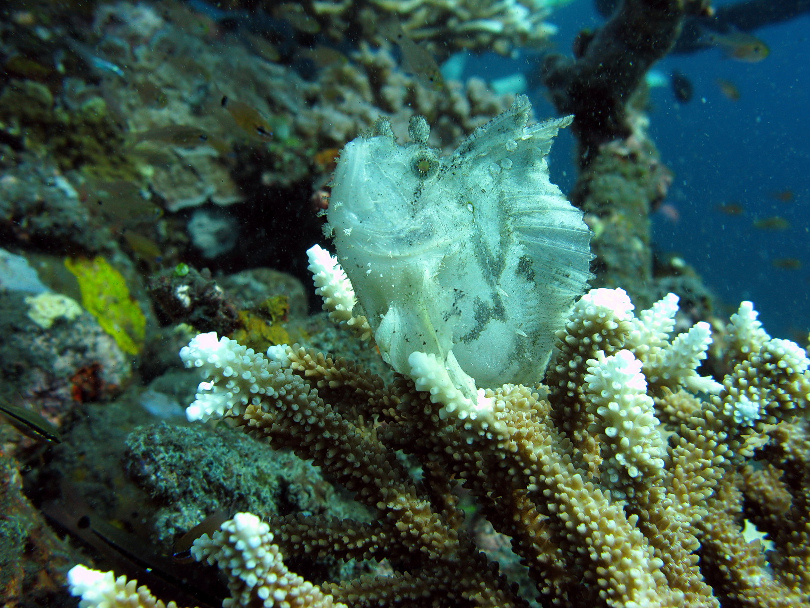 Bali Singapur 2012 0080