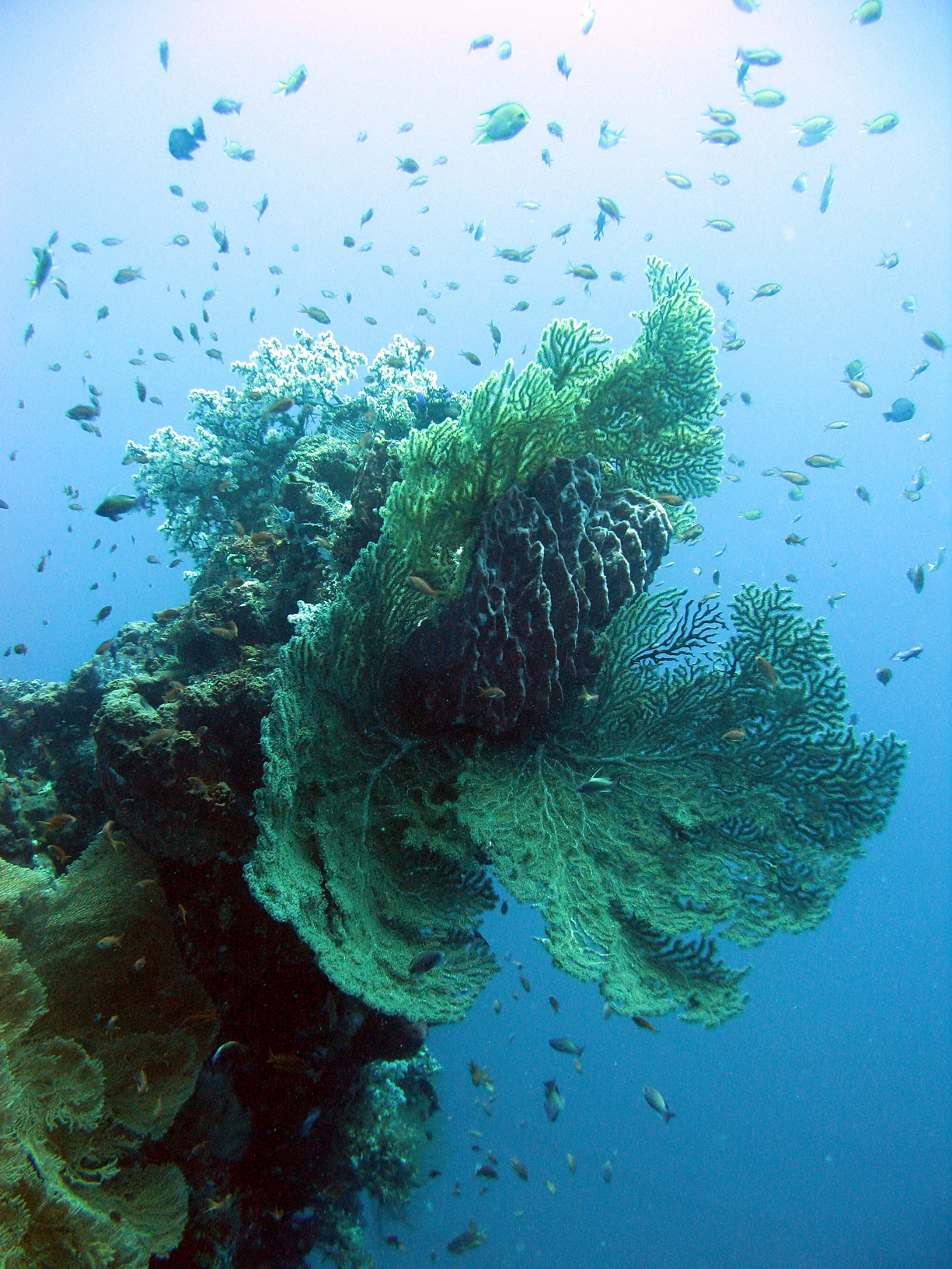 Bali Singapur 2012 0081