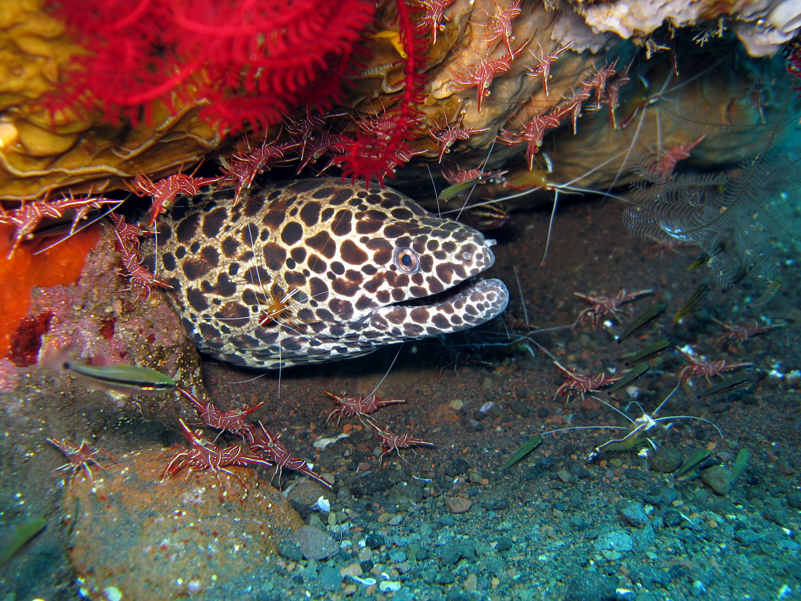 Bali Singapur 2012 0082