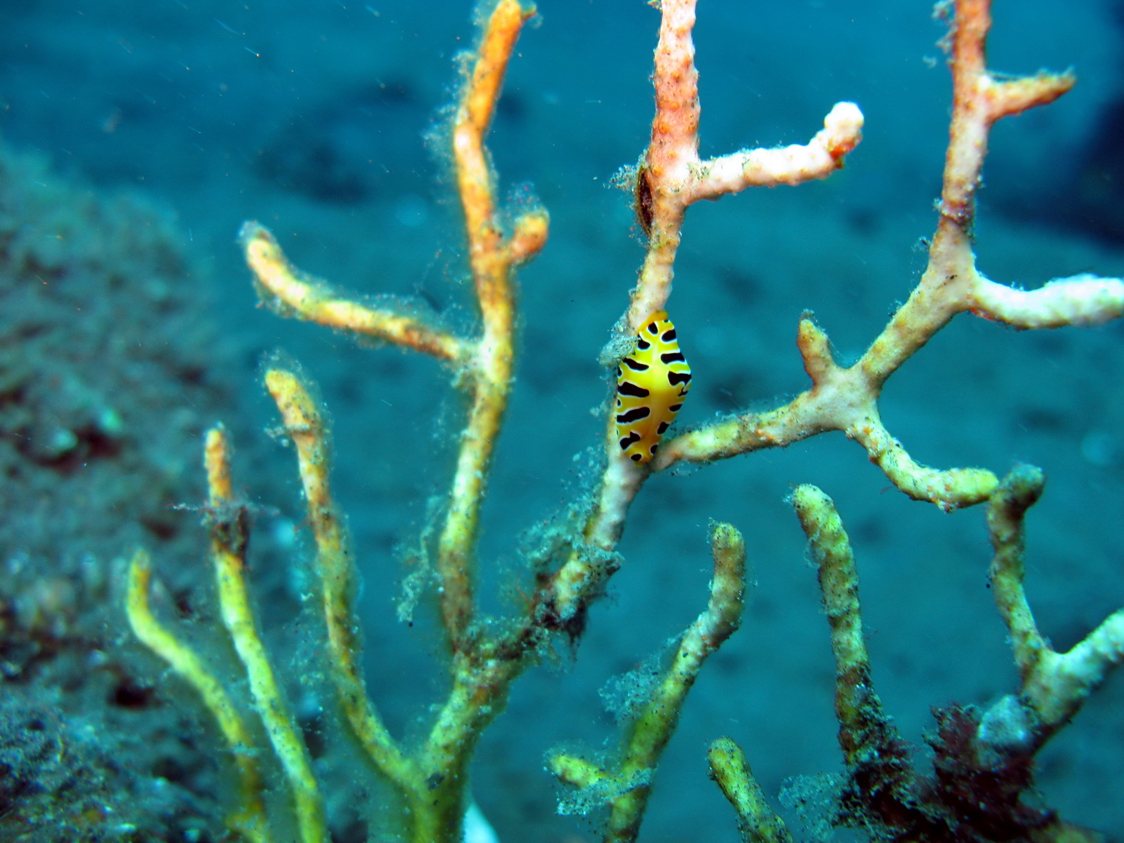 Bali Singapur 2012 0083