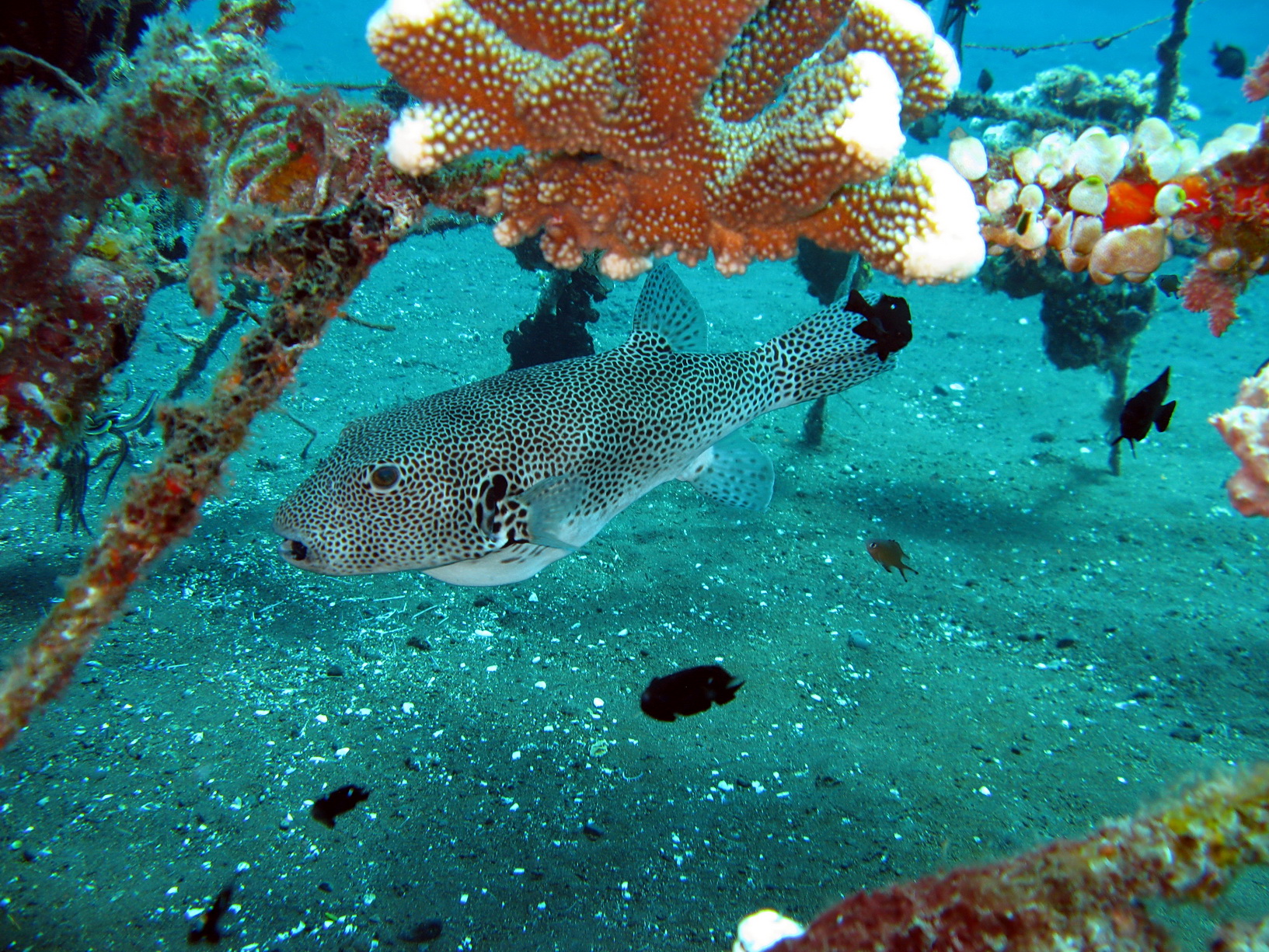 Bali Singapur 2012 0086