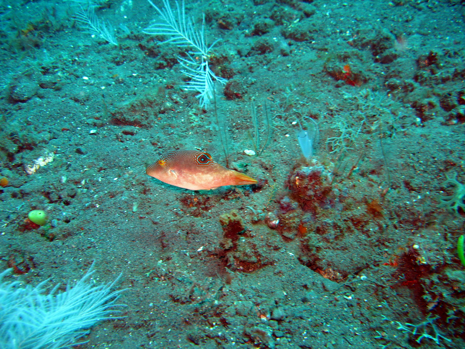 Bali Singapur 2012 0088