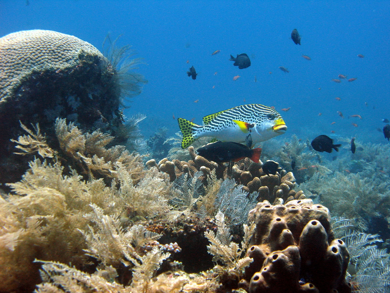 Bali Singapur 2012 0092