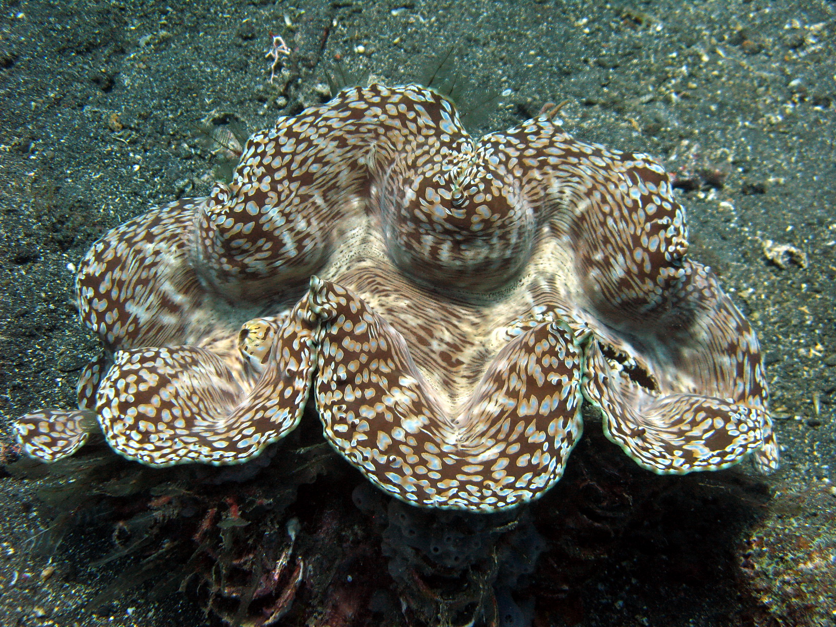 Bali Singapur 2012 0093