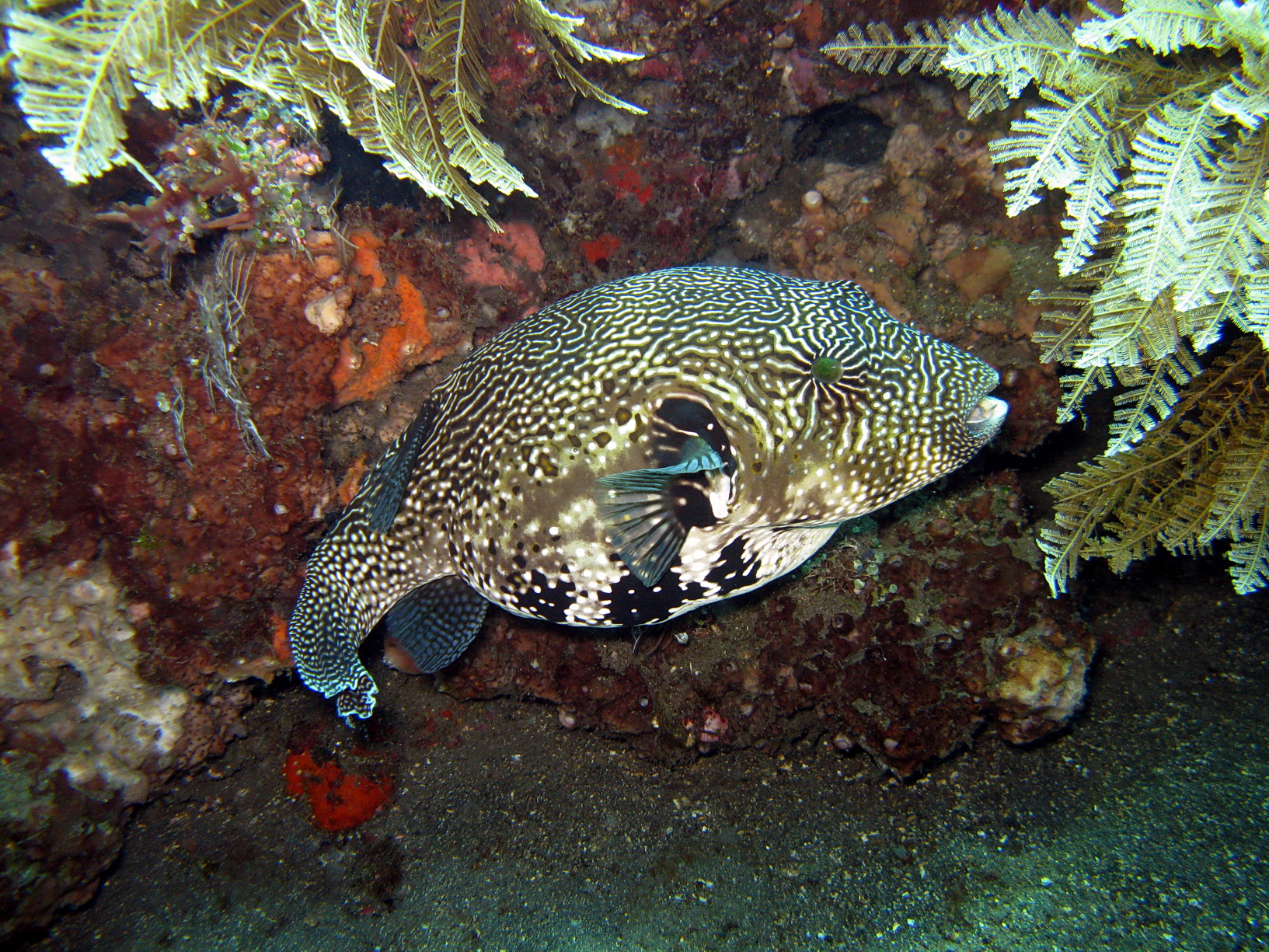 Bali Singapur 2012 0094