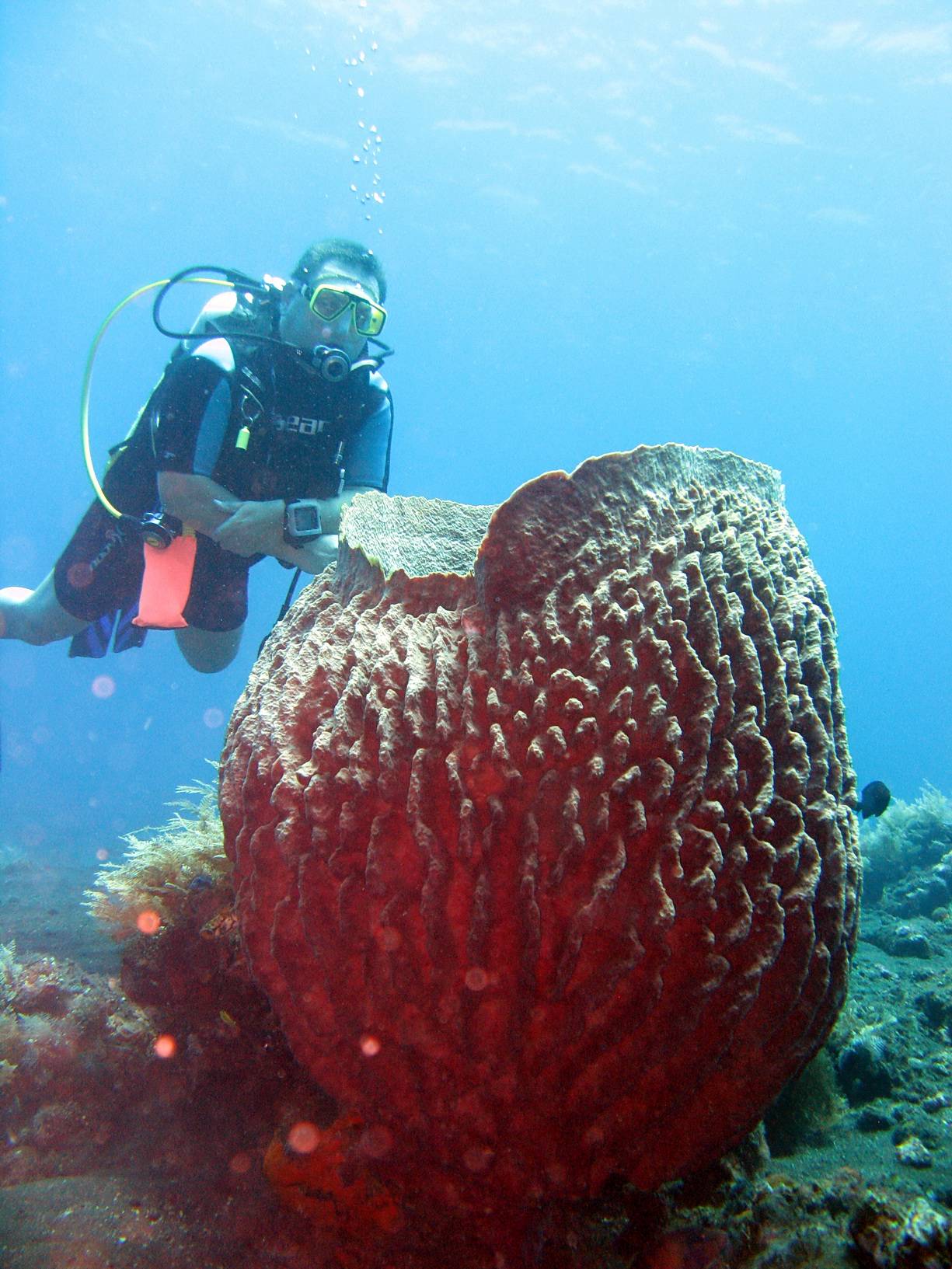 Bali Singapur 2012 0095