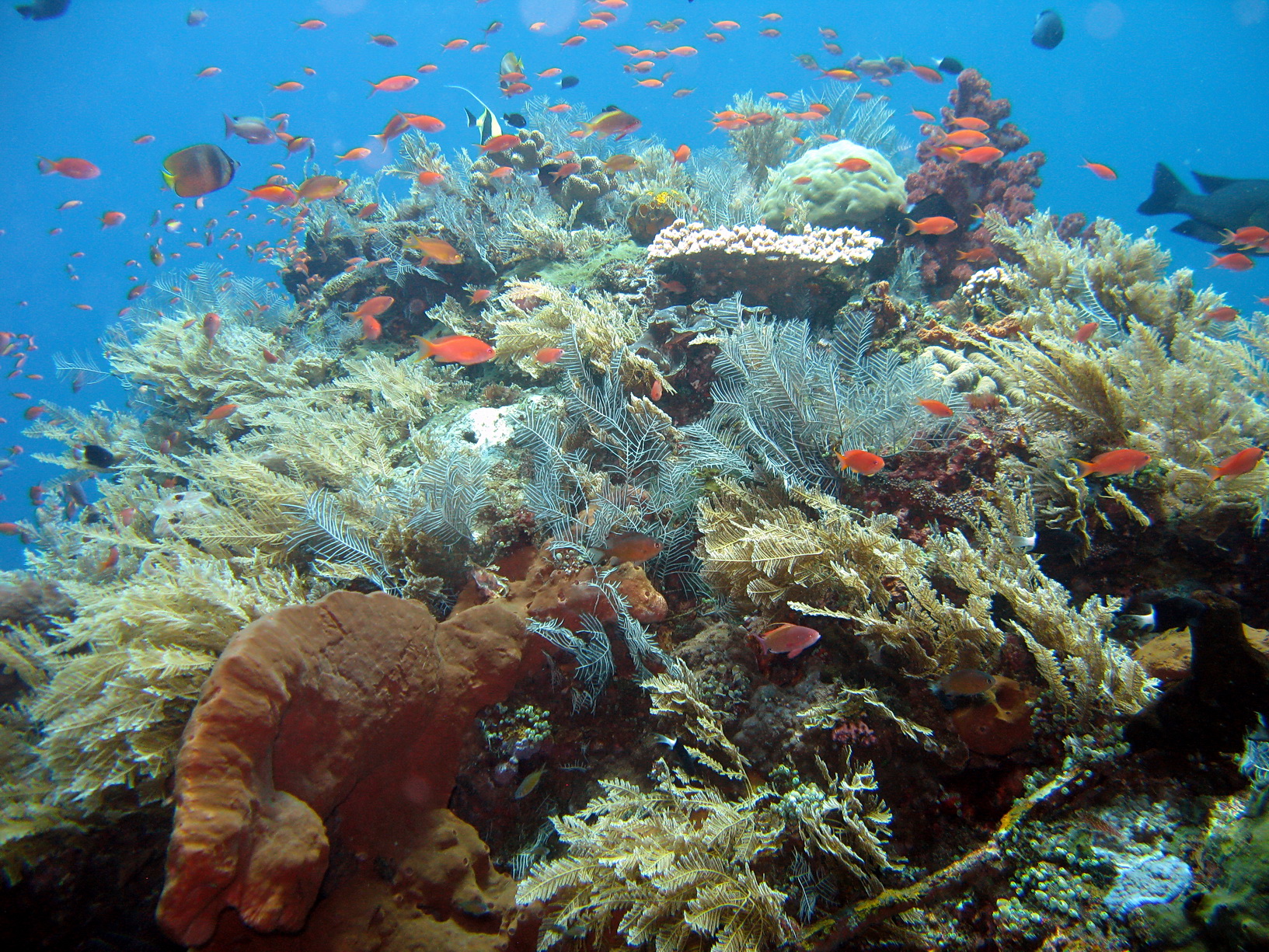 Bali Singapur 2012 0096