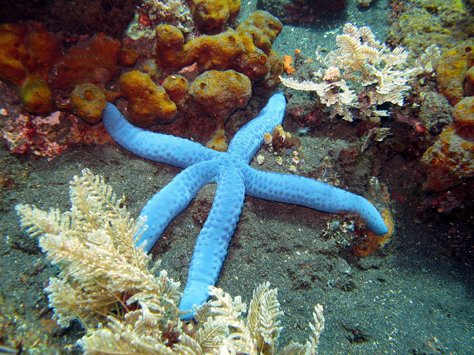 Bali Singapur 2012 0097