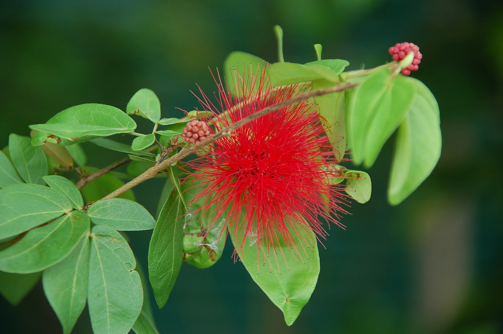 Bali Singapur 2012 0148