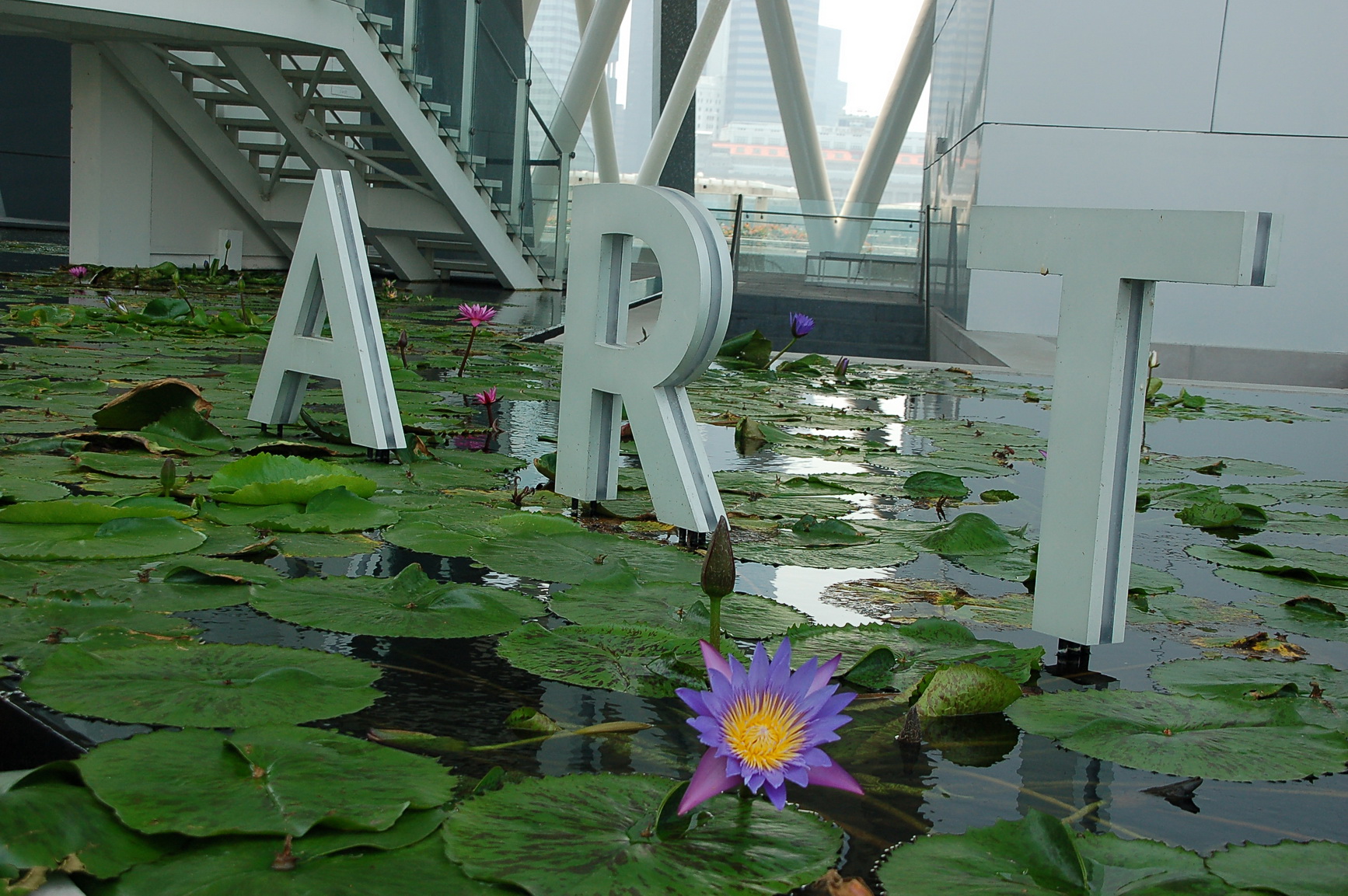 Bali Singapur 2012 0176