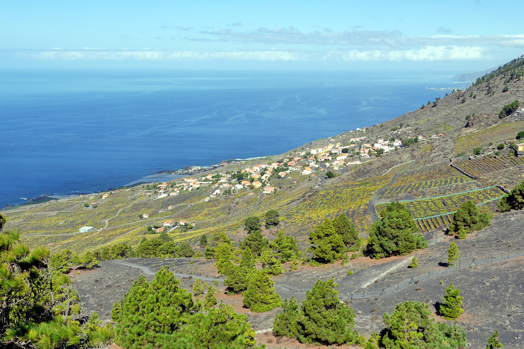 La Palma 2014 10 0016