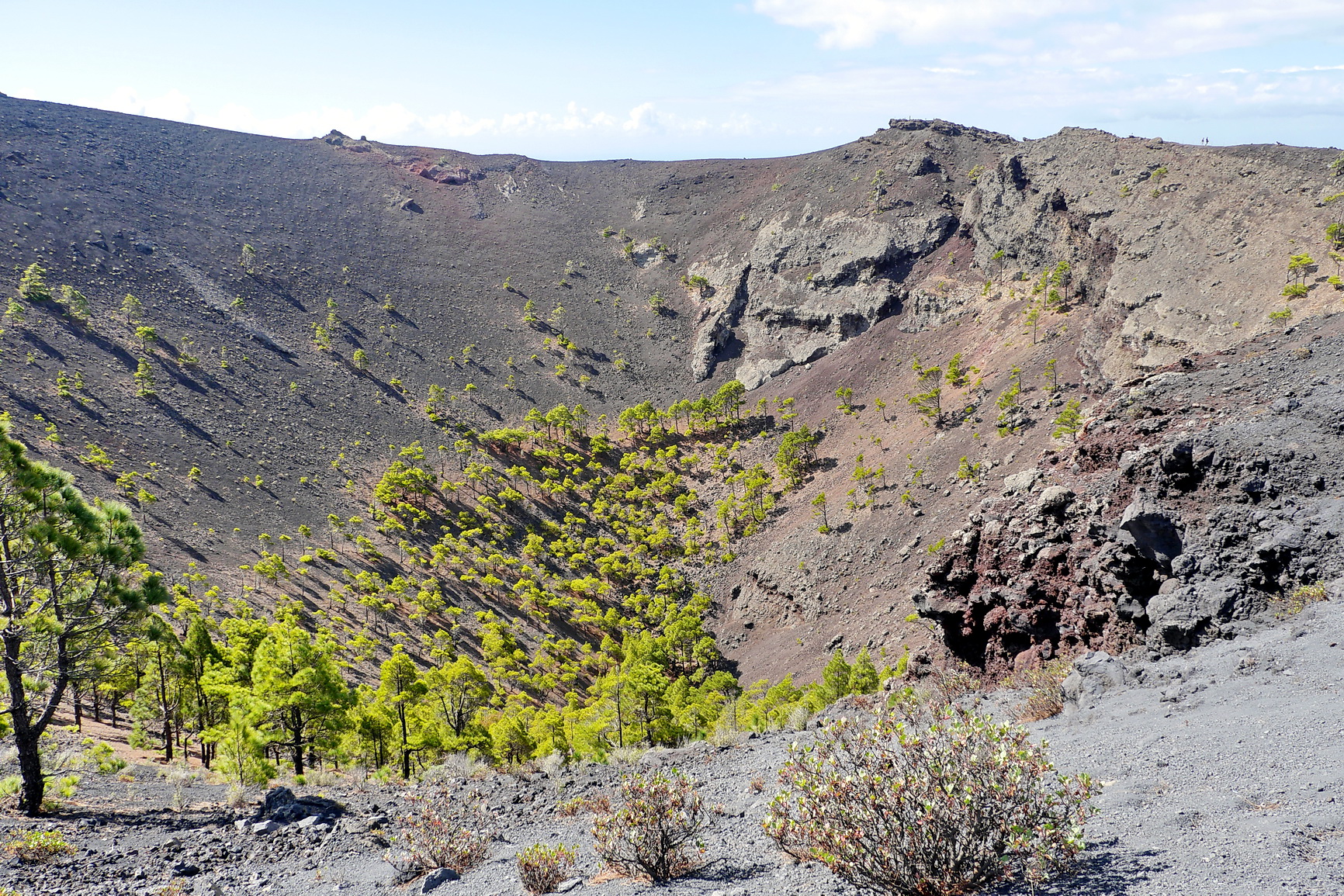 La Palma 2014 10 0017