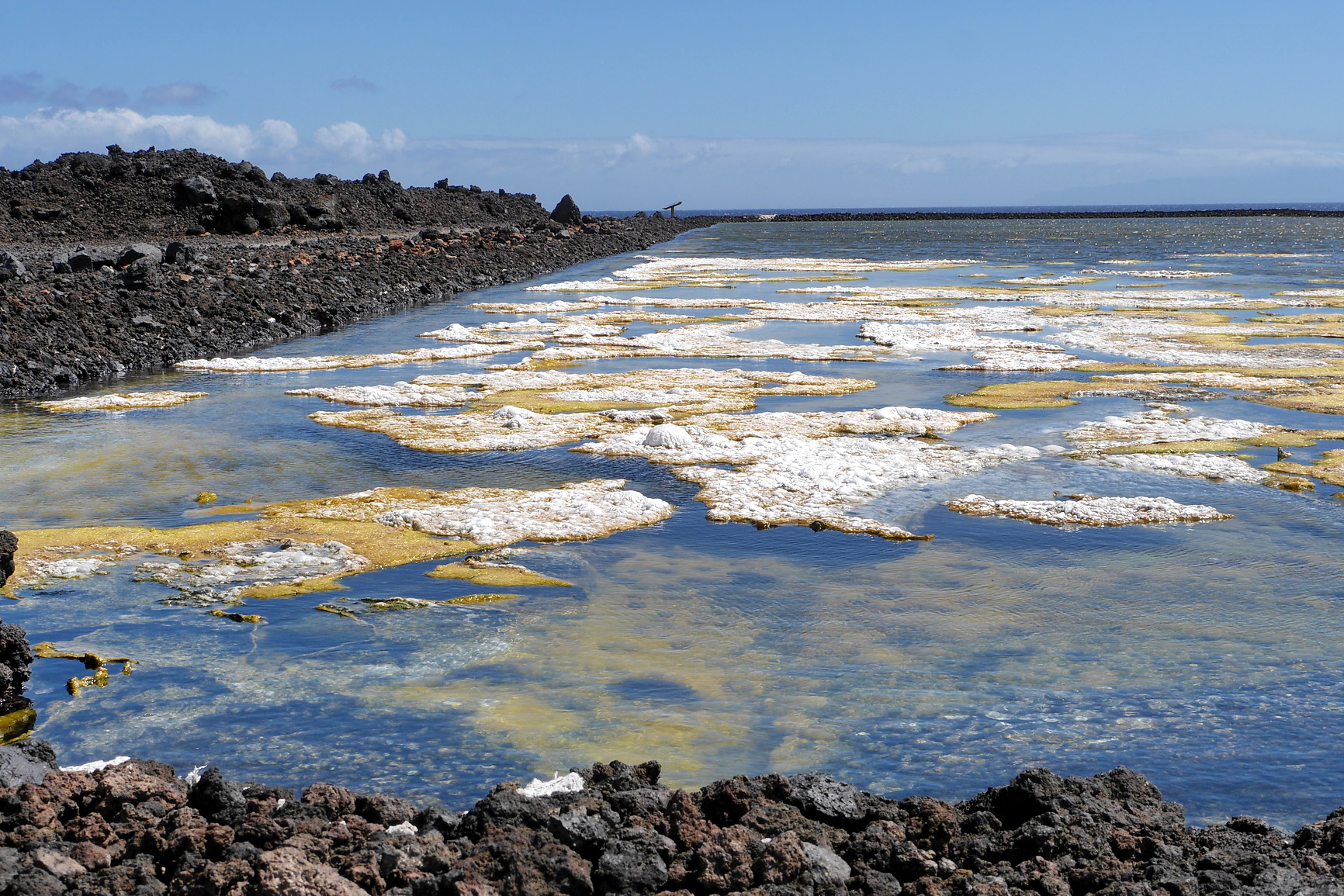 La Palma 2014 10 0037