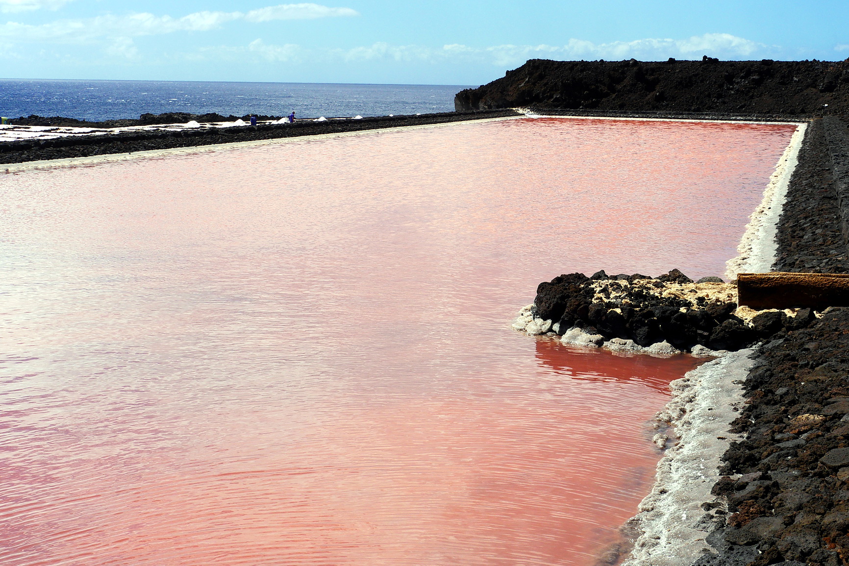 La Palma 2014 10 0038