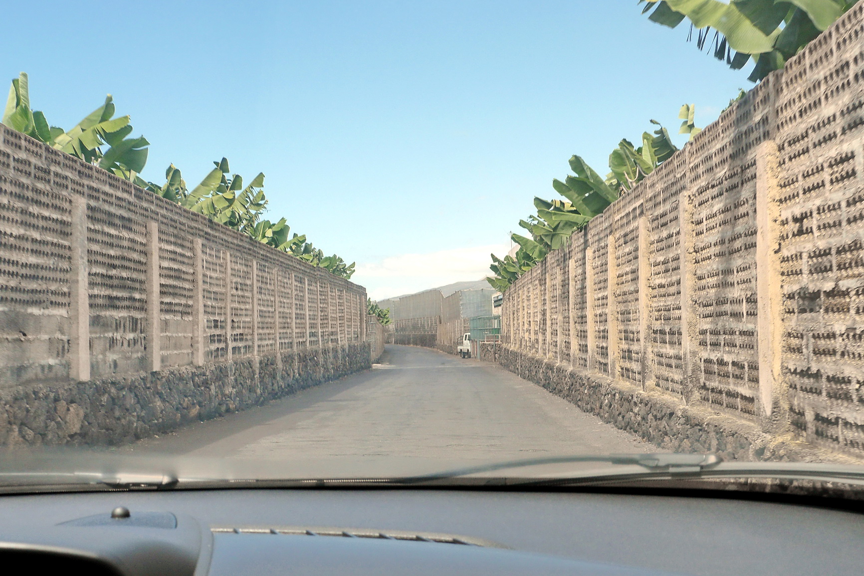 La Palma 2014 10 0046