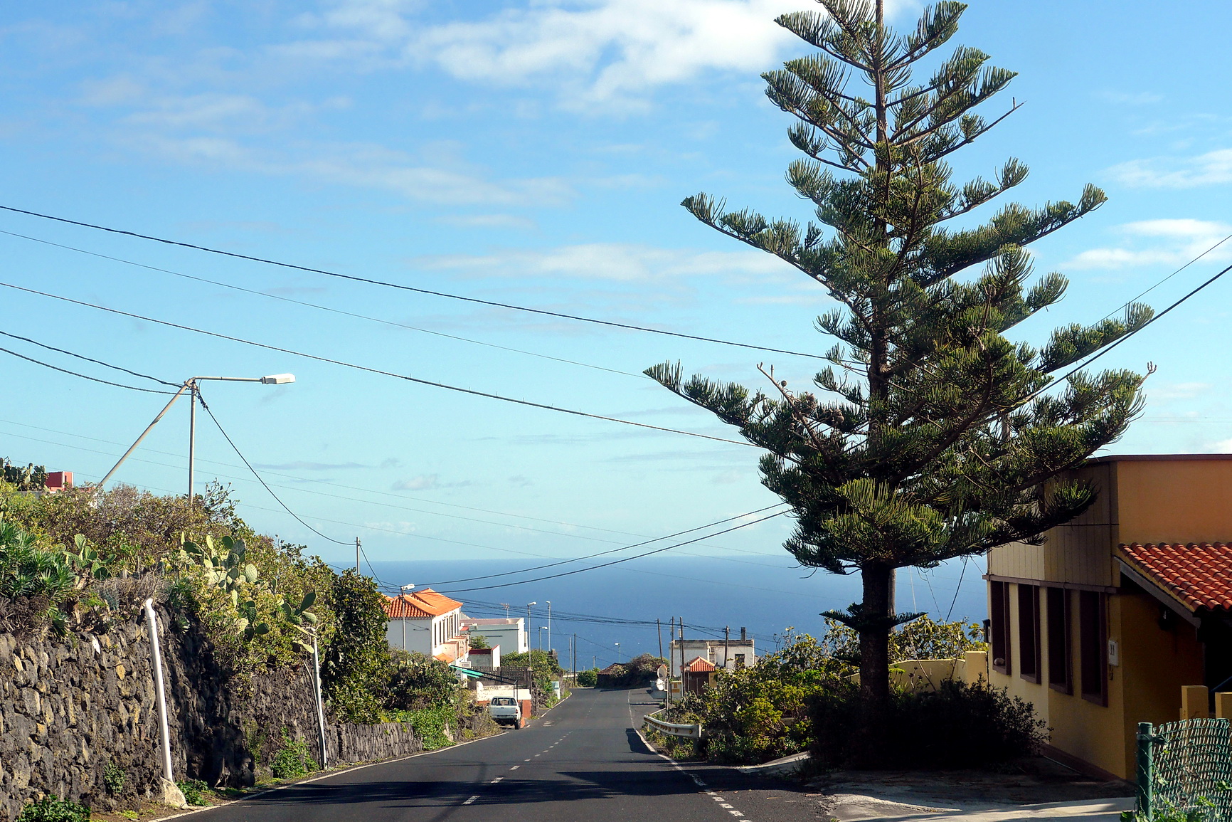 La Palma 2014 10 0054