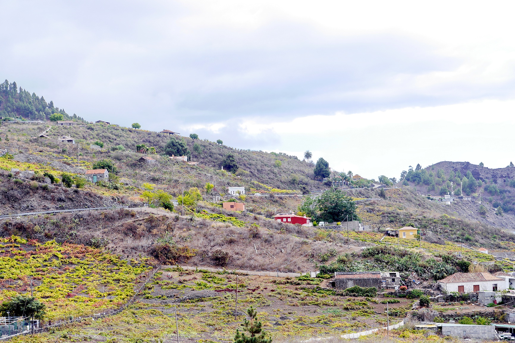 La Palma 2014 10 0111