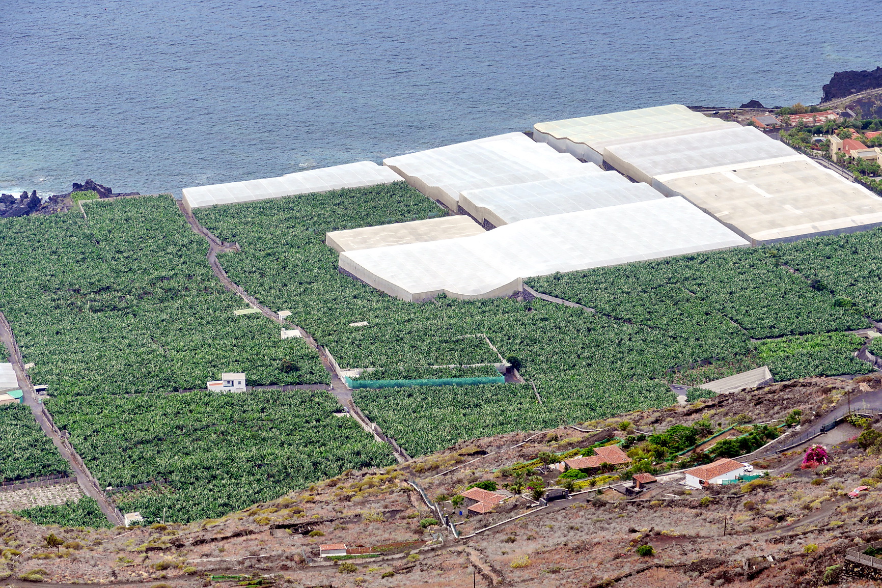 La Palma 2014 10 0115