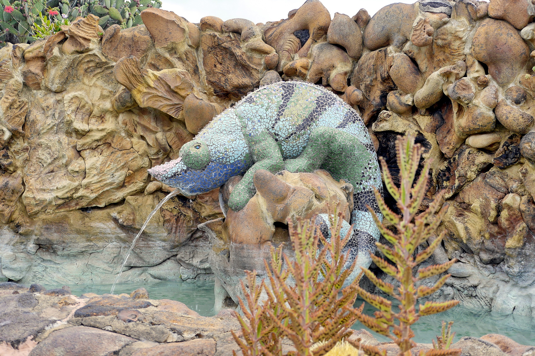 La Palma 2014 10 0128