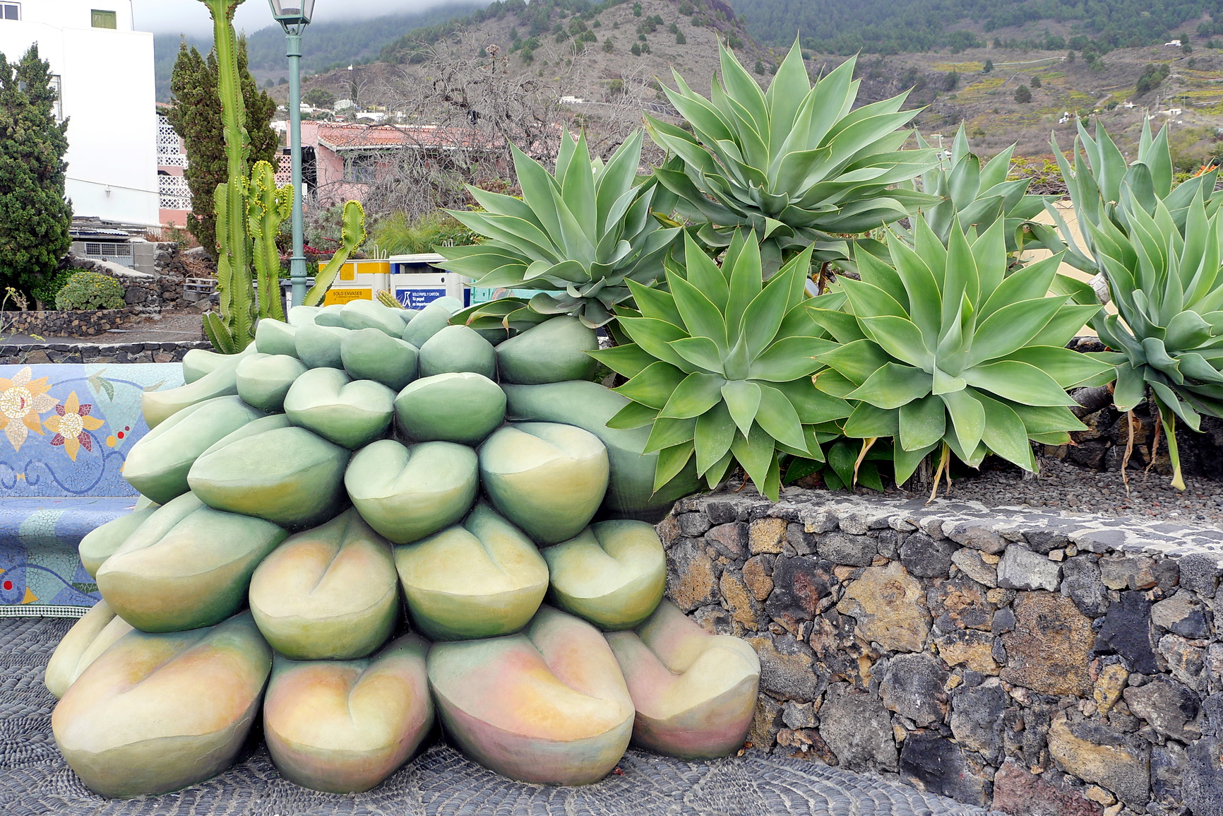 La Palma 2014 10 0132