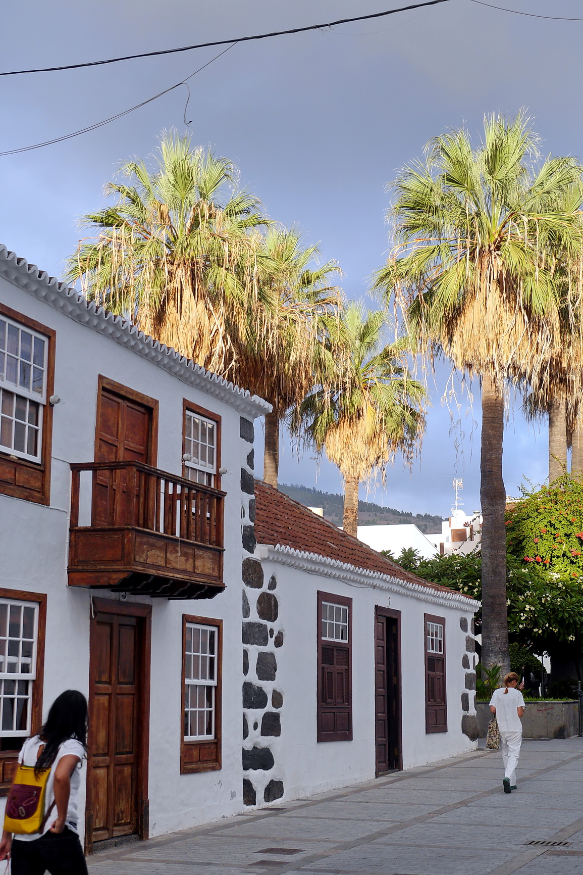 La Palma 2014 10 0147