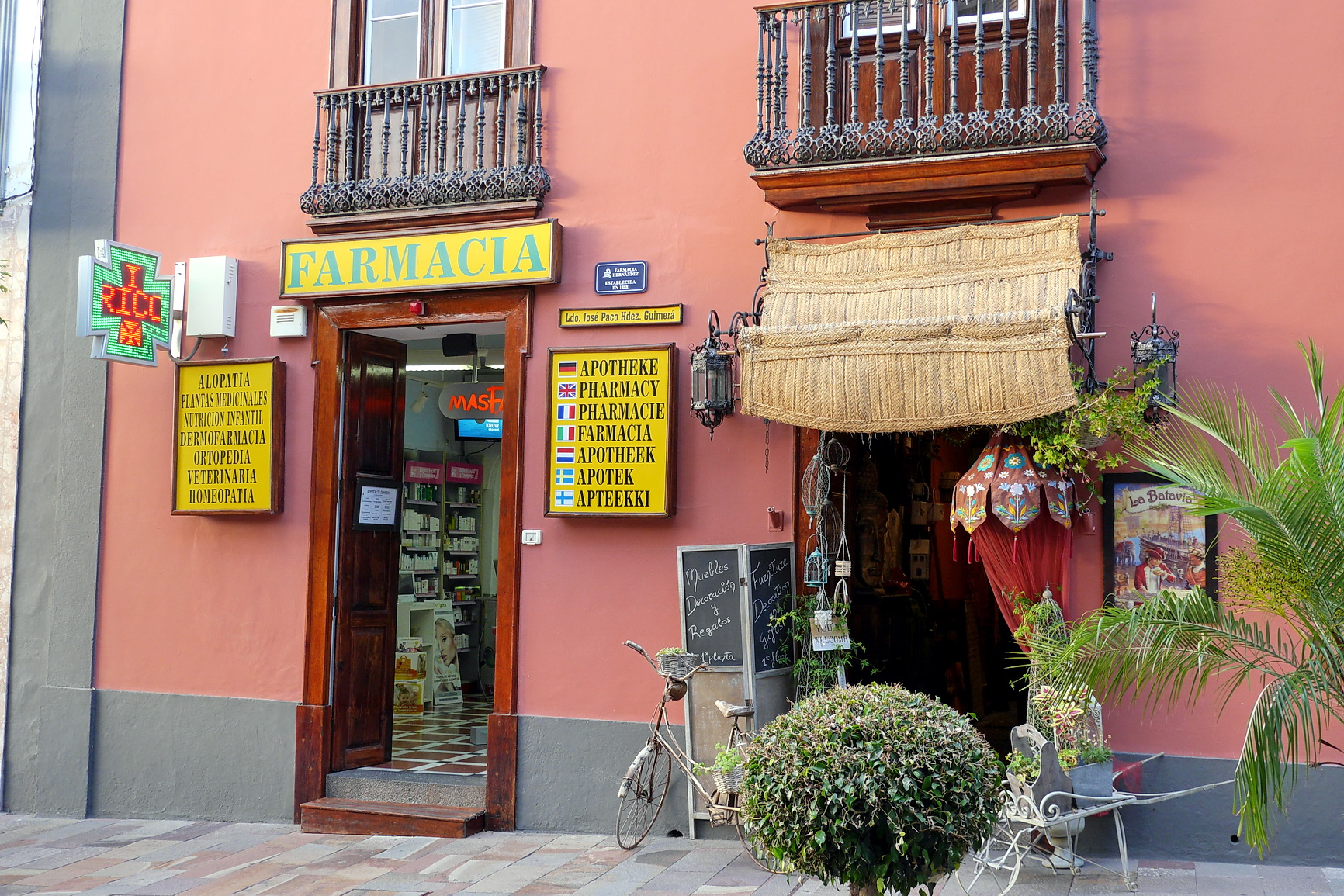 La Palma 2014 10 0155