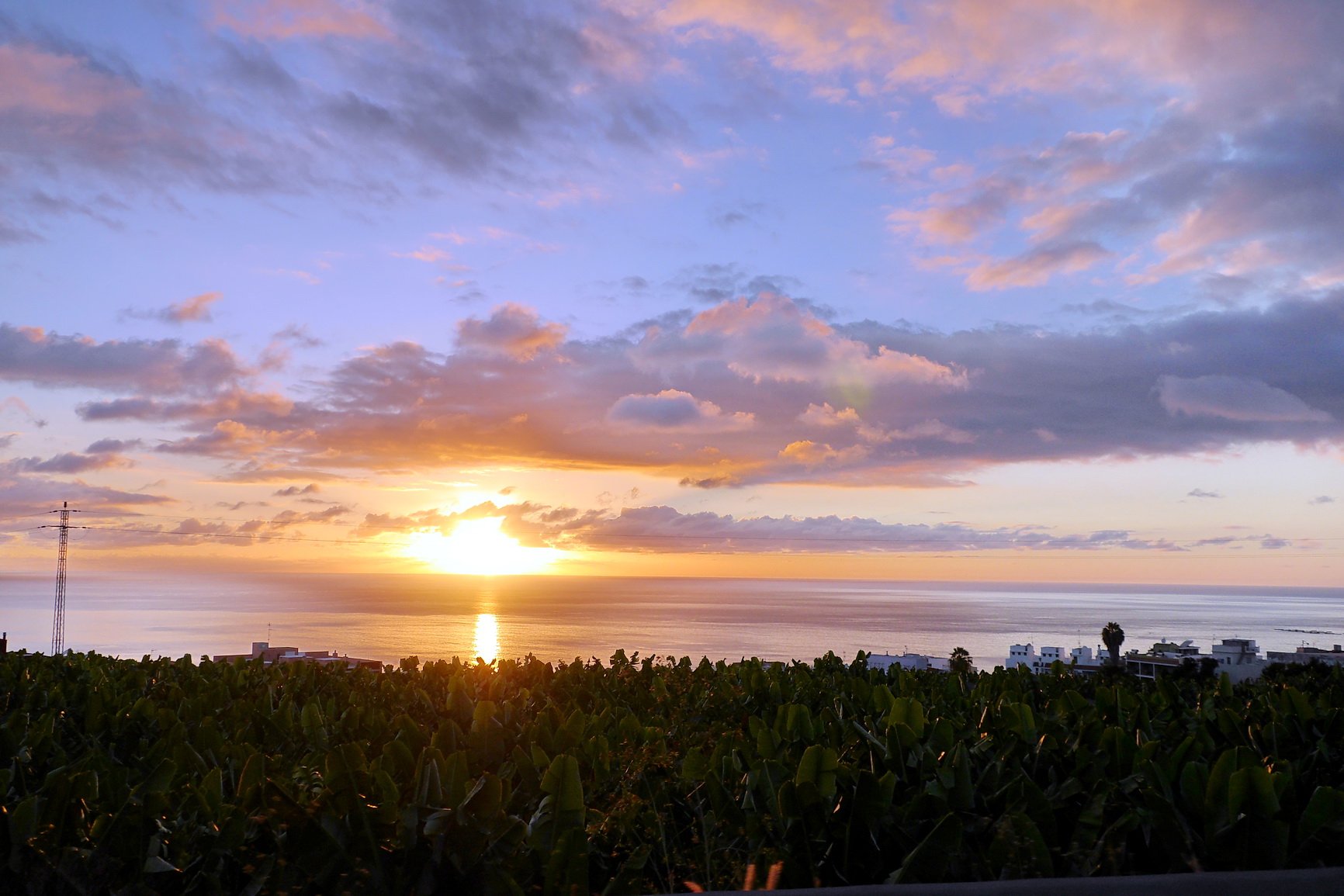 La Palma 2014 10 0161