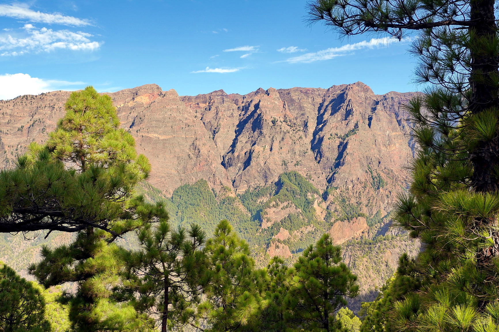 La Palma 2014 10 0173