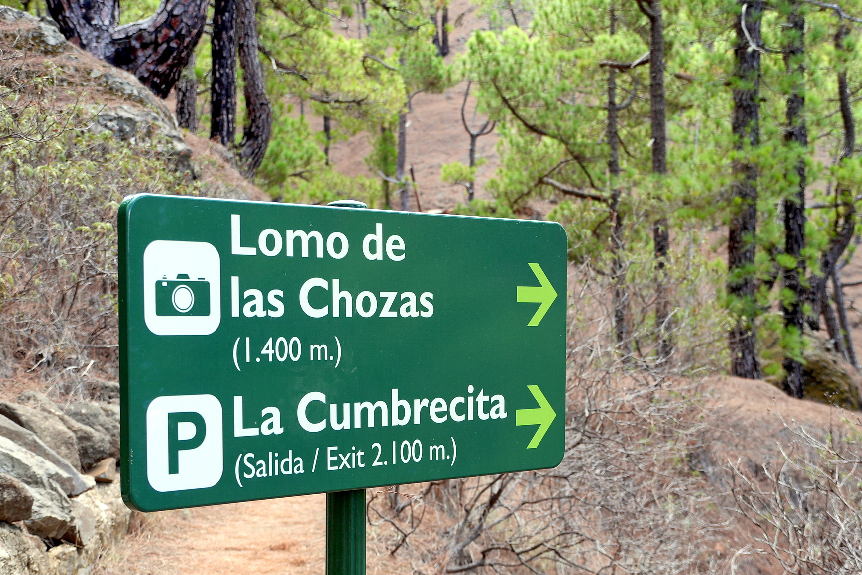 La Palma 2014 10 0177