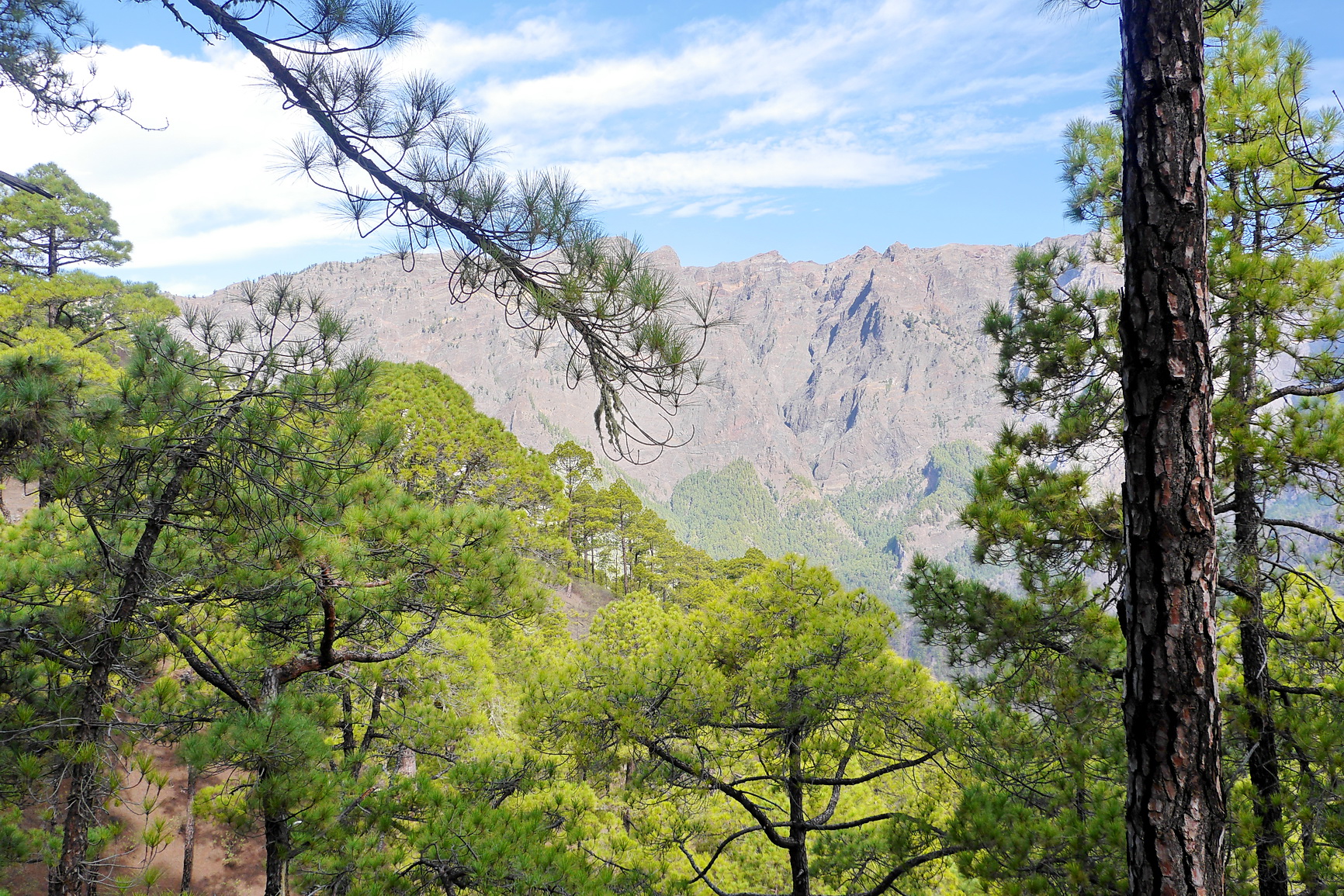 La Palma 2014 10 0181