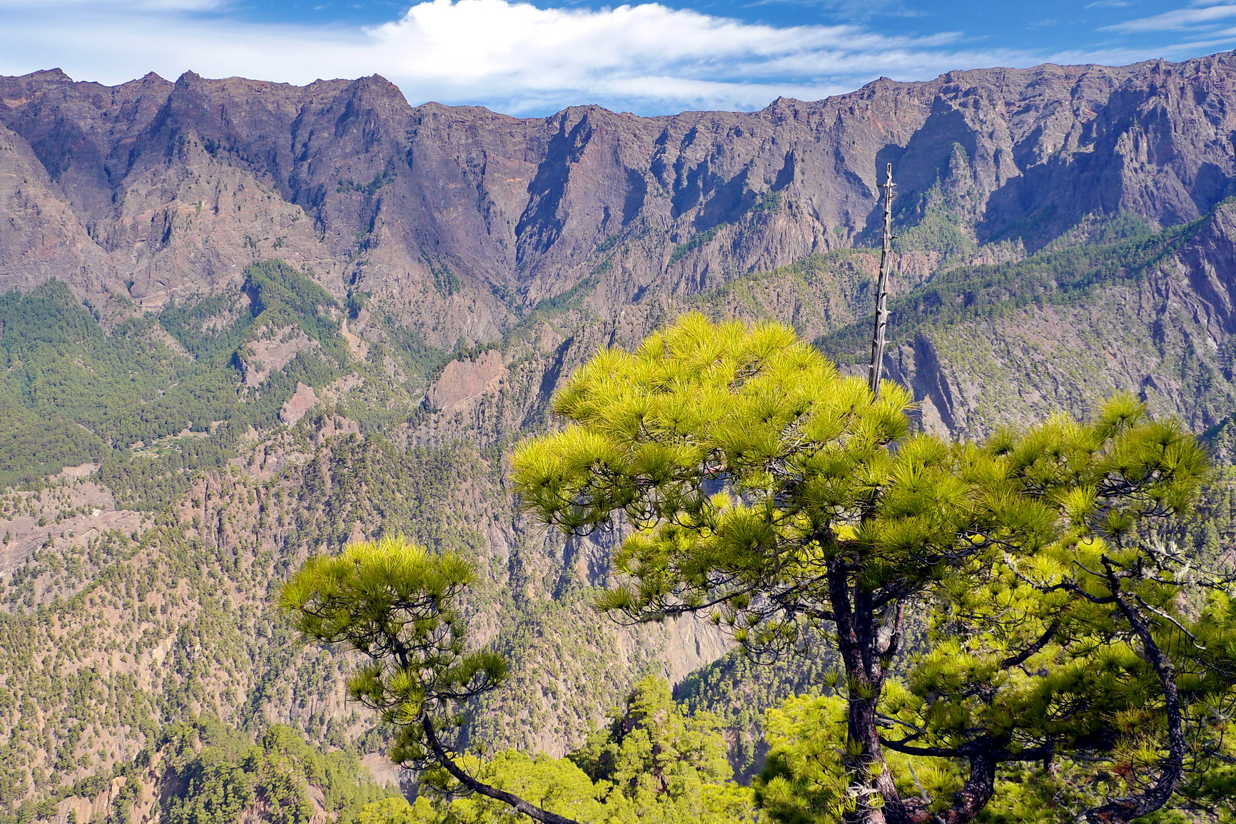 La Palma 2014 10 0186