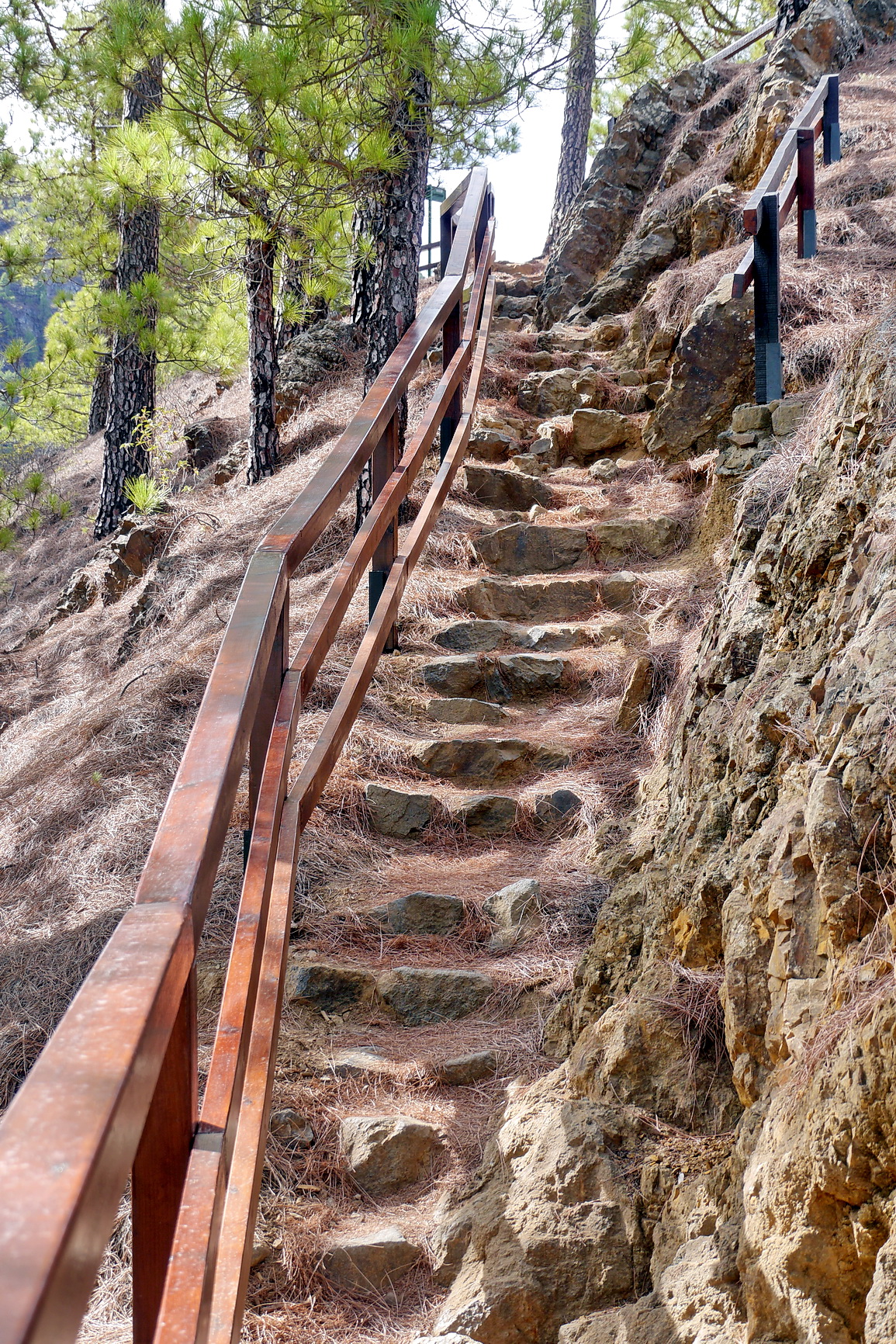 La Palma 2014 10 0187