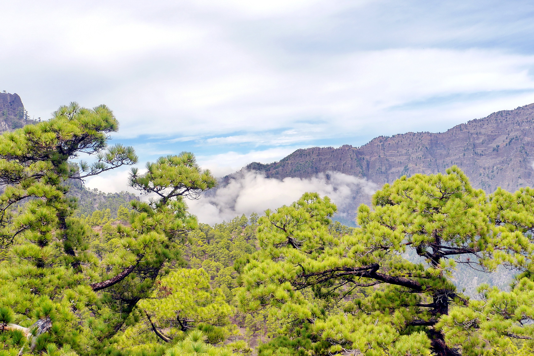 La Palma 2014 10 0192