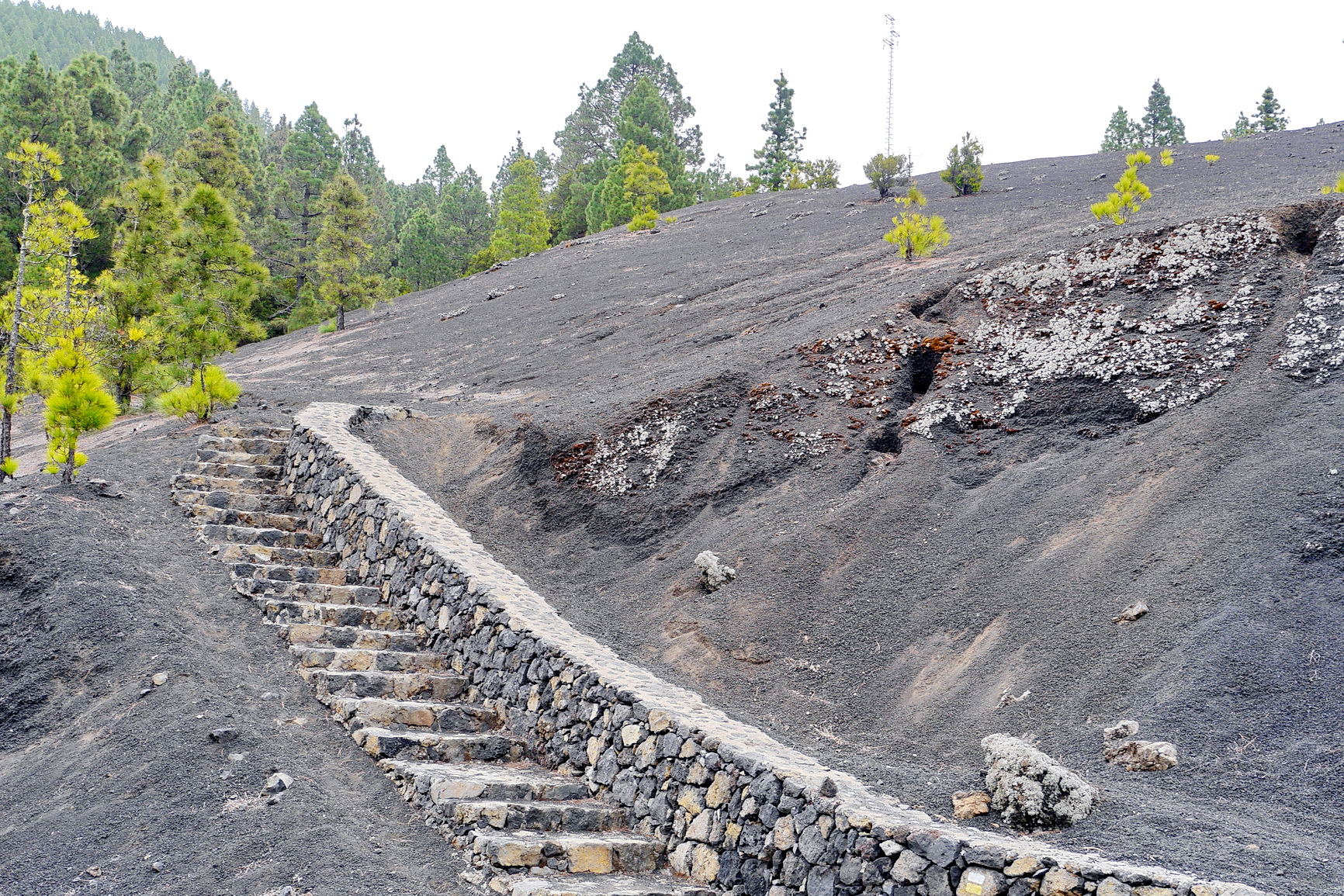 La Palma 2014 10 0194