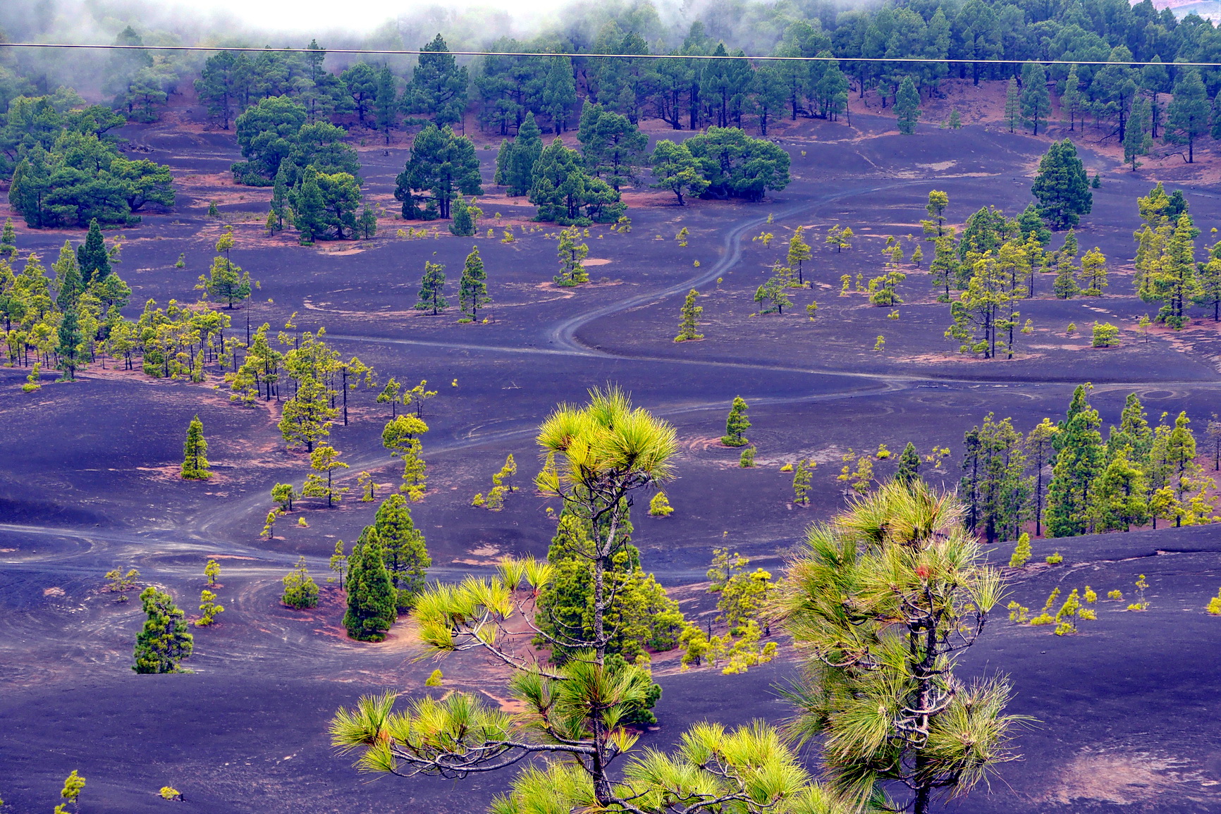La Palma 2014 10 0195
