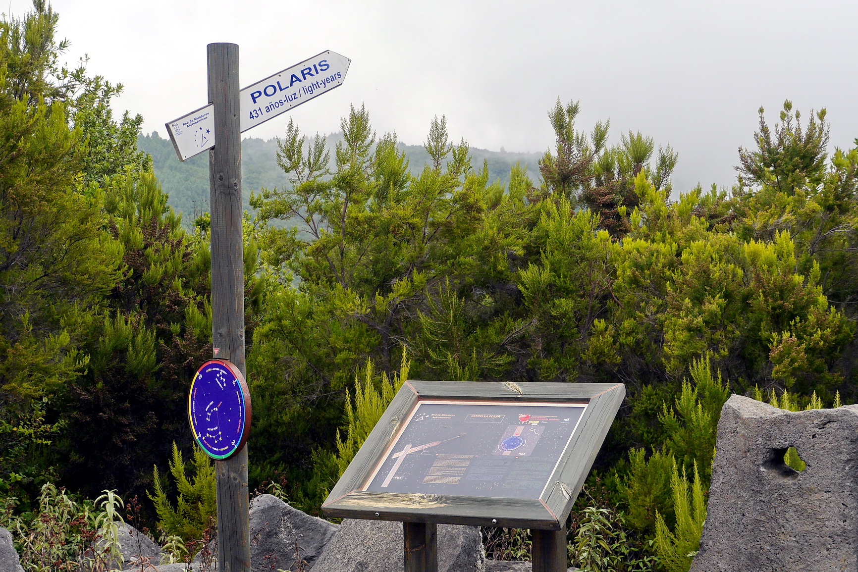 La Palma 2014 10 0197