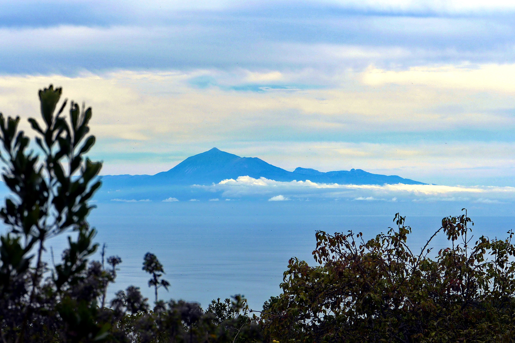 La Palma 2014 10 0198