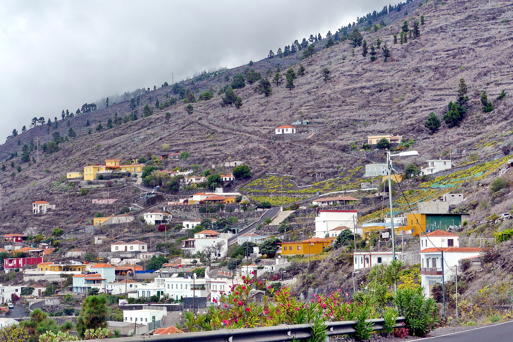 La Palma 2014 10 0203
