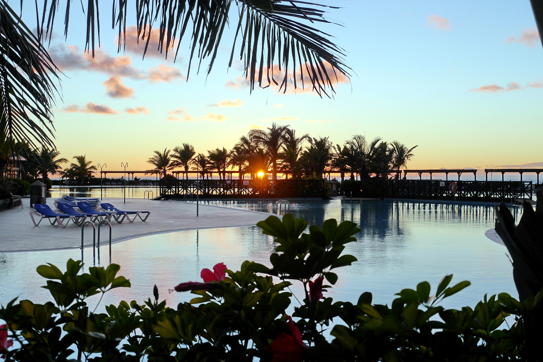 La Palma 2014 10 0231