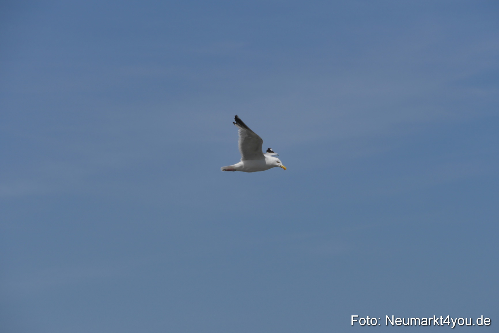 Kap Arkona Sommer 2014