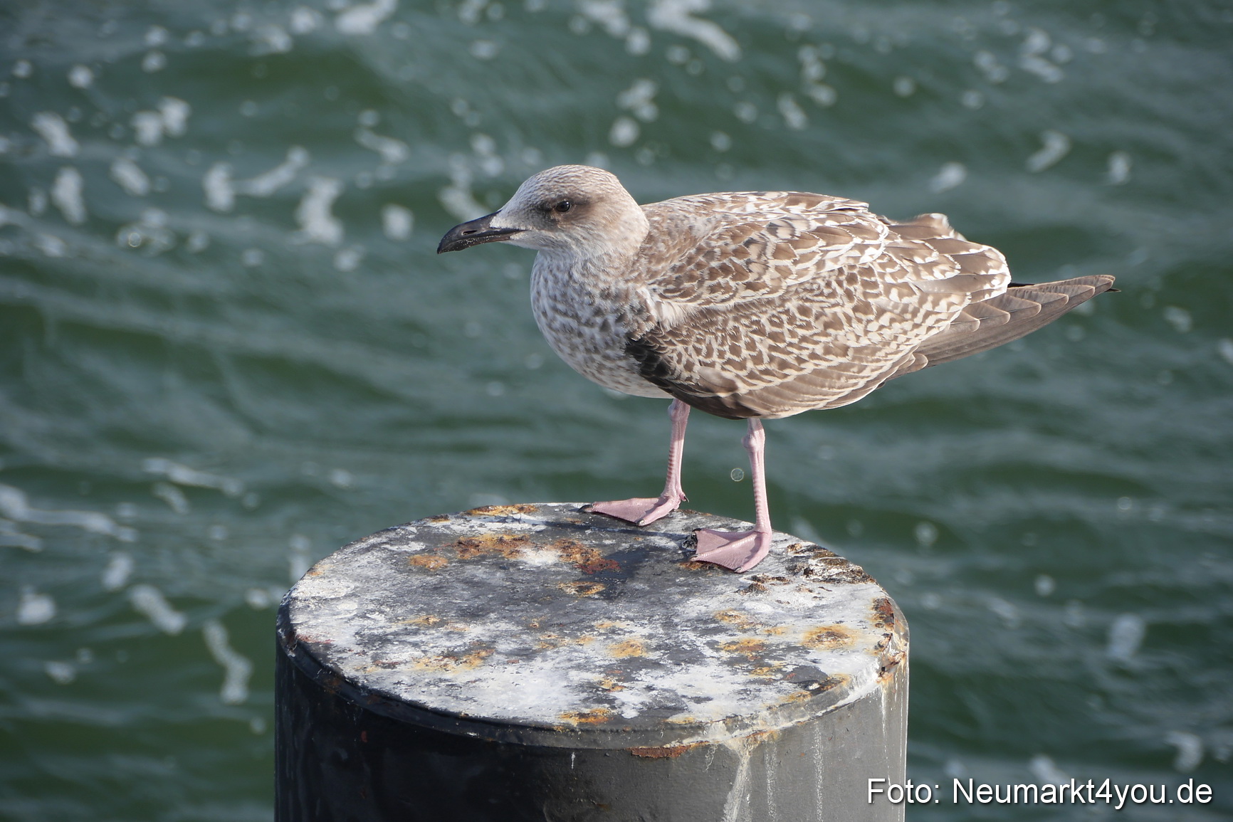 Seebad Binz Sommer 2014