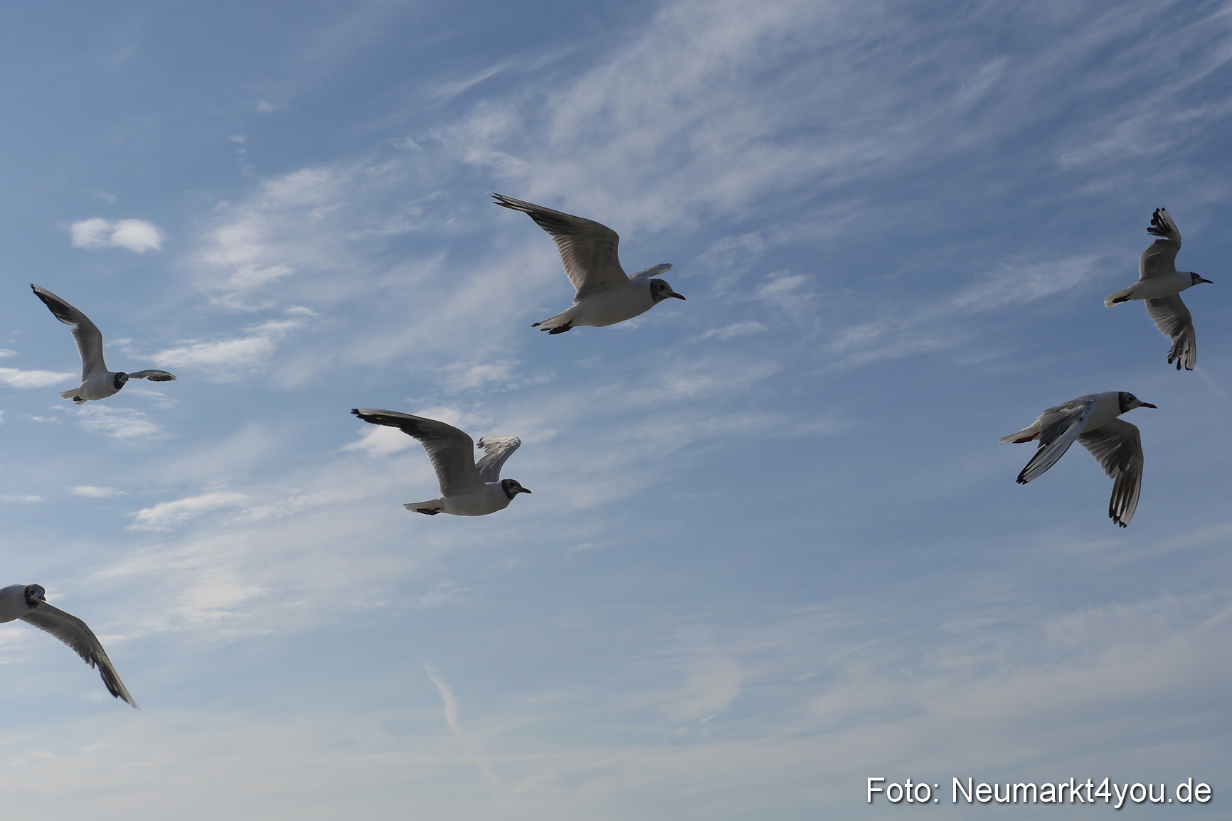Seebad Binz Sommer 2014