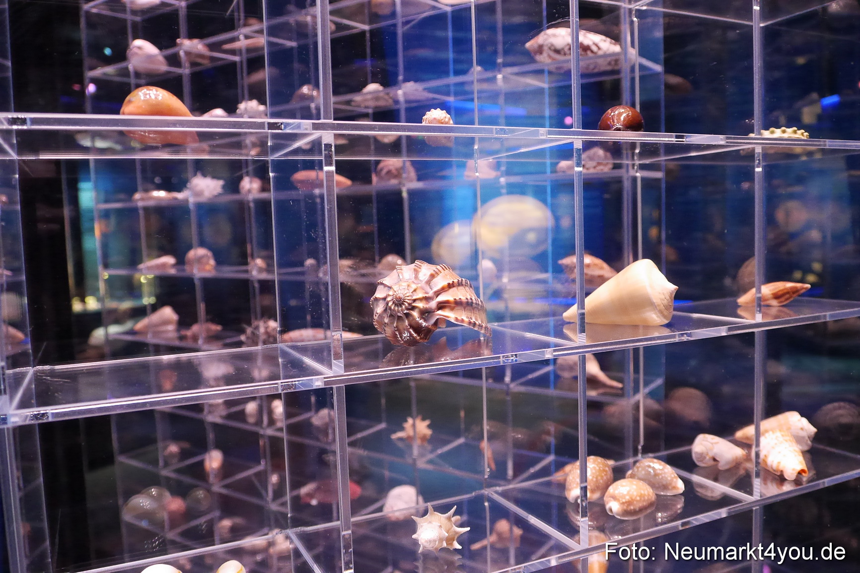 Stralsund Sommer 2014