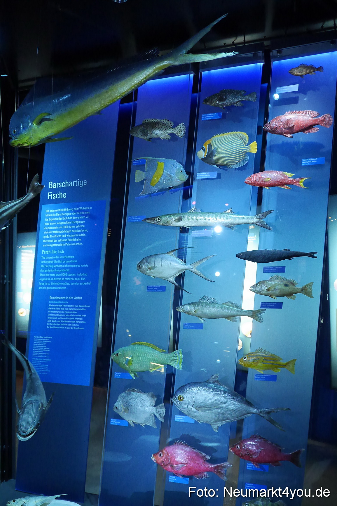 Stralsund Sommer 2014