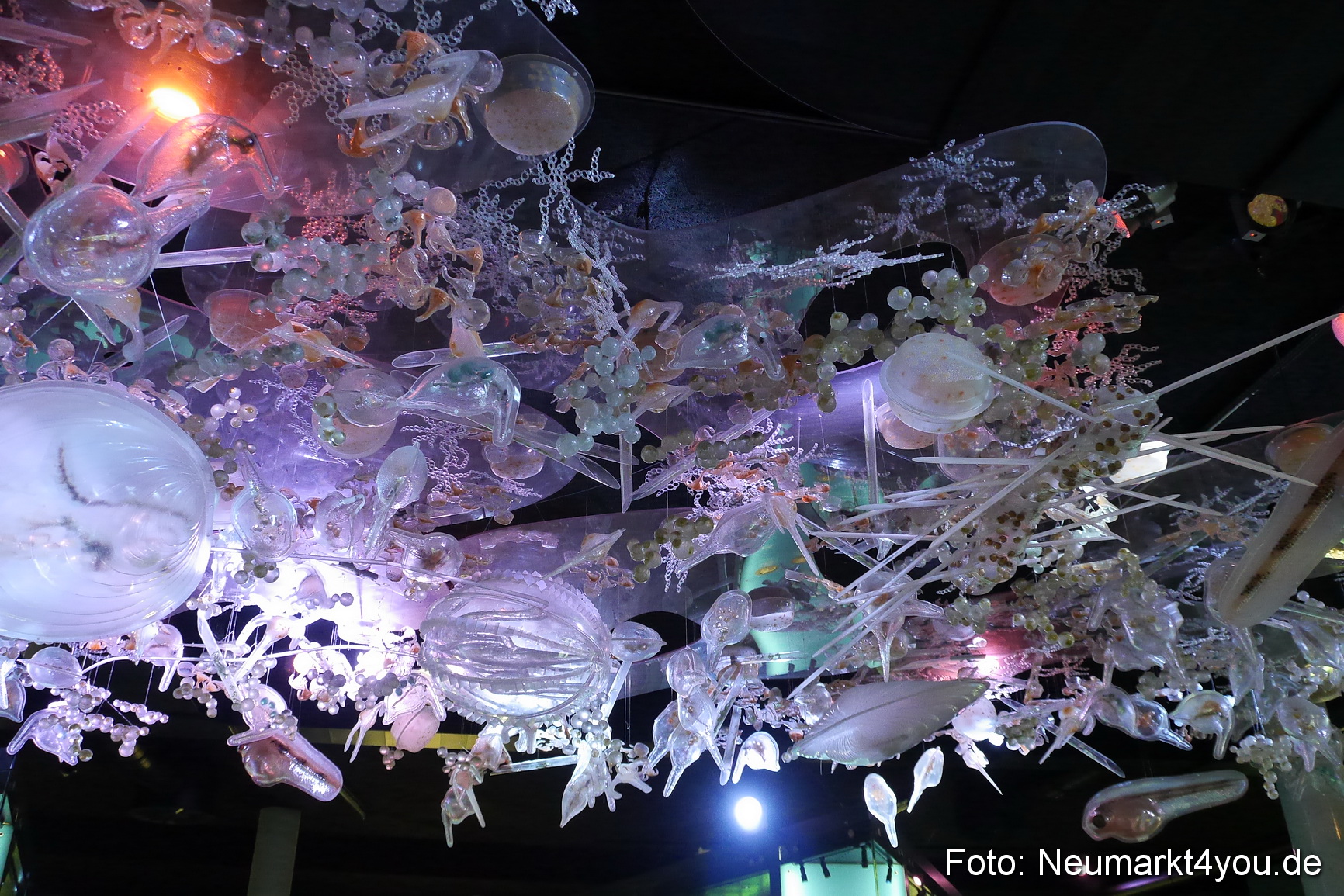 Stralsund Sommer 2014